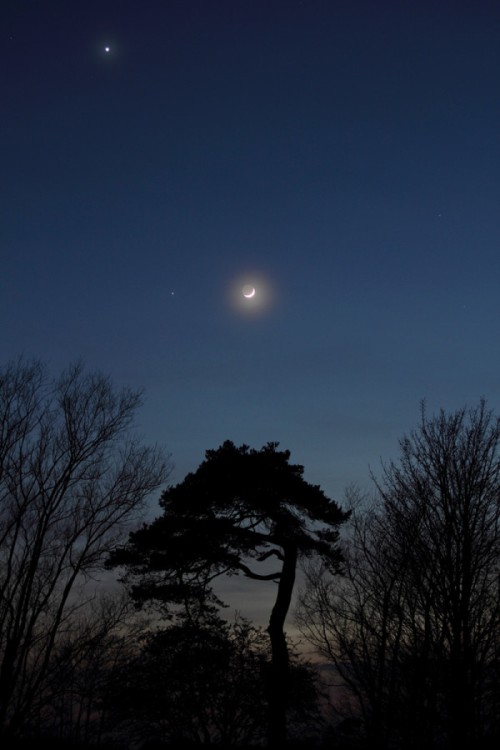Lo mismo desde Elgin, Moray (Escocia) y con un halo lunar. Foto: Alan C. Tough 